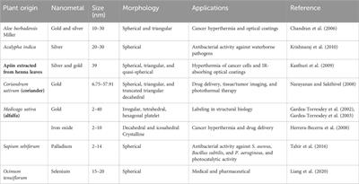 A review of metallic nanoparticles: present issues and prospects focused on the preparation methods, characterization techniques, and their theranostic applications